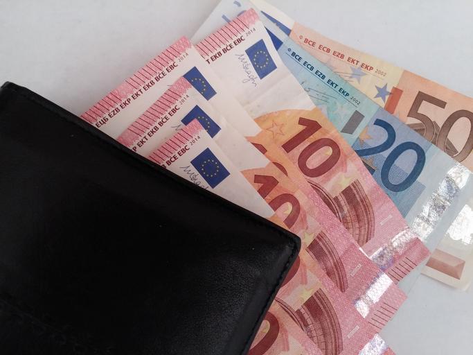 eura a peněženka